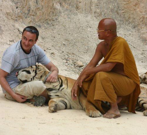 Буддийские монахи занимаются контрабандой тигров