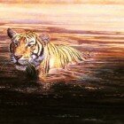 Тигры в живописи