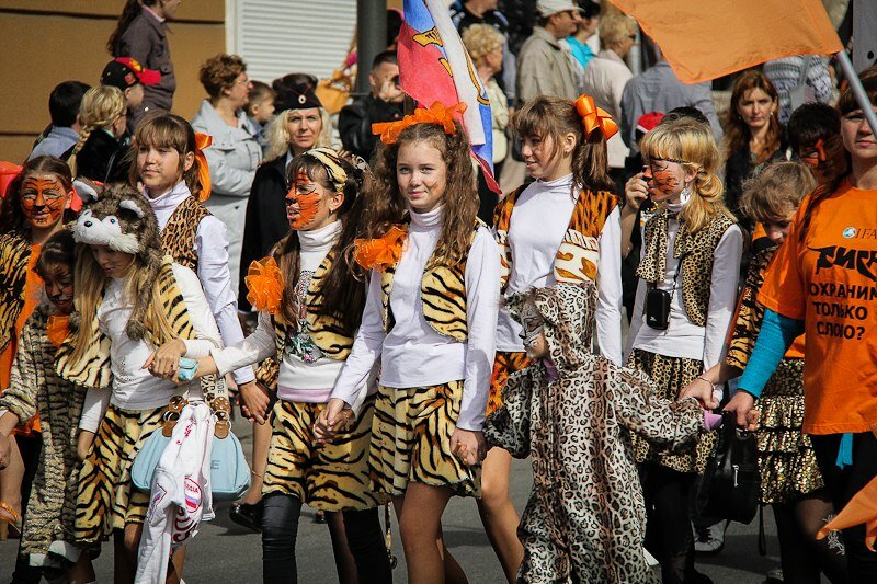 Во Владивостоке отметили традиционный День Тигра (видео)
