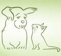 Благотворительный фонд защиты животных "БИМ"