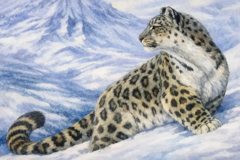 Сказки участников литературного конкурса «Снежный барс» 2009