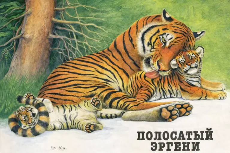 Полосатый Эргени