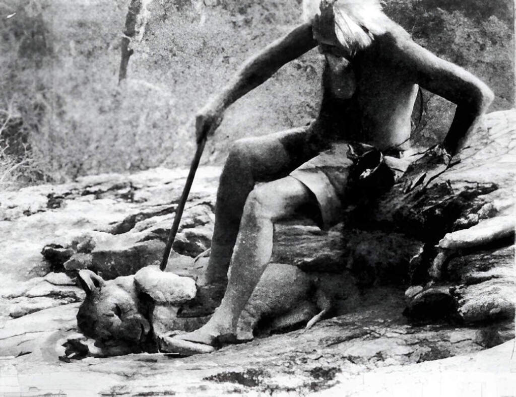 Прайд уходит в буш