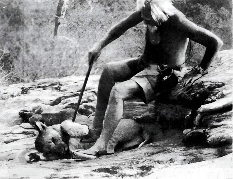 Прайд уходит в буш