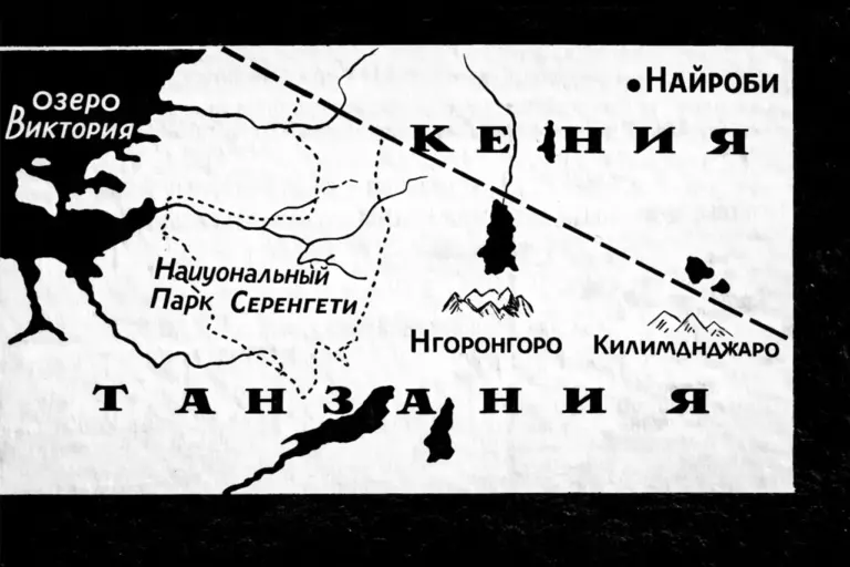 Три года со львами