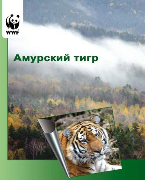 Краткий справочник для сотрудников таможенных органов