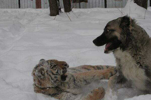 59ded49c7679abec9214341a87dccdfc