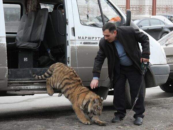 bea6b6efd0ed8c78f1d7e5fbb94f13b7