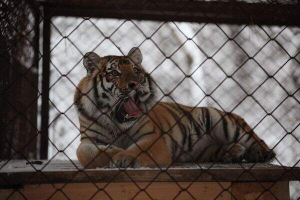 c7153d1593053760fabad1be9170a8d6