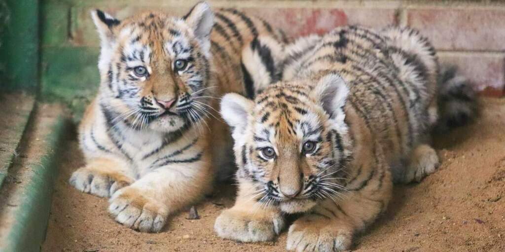 Уссури и Таежка