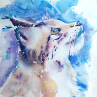 Путешествие Рыськи в Долине Больших Льдов