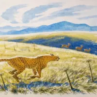 Гепард. А.А. Слудский