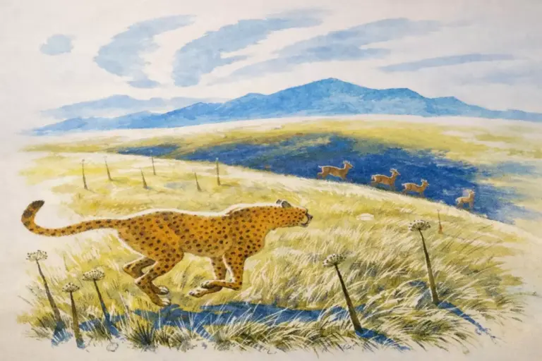 Гепард. А.А. Слудский