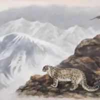 Снежный барс (Ирбис). В.С. Покровский