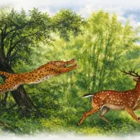 Леопард. В. С. Покровский