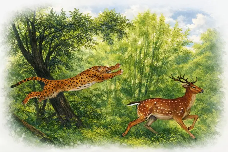 Леопард. В. С. Покровский