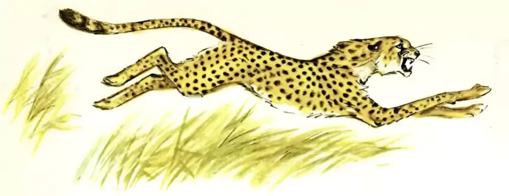 Пятнистый спринтер — о редких животных мира