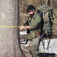 Новые данные по законопроекту № 1096223-8 об уничтожении заповедников