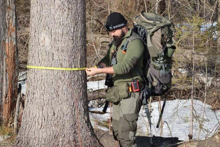 Новые данные по законопроекту № 1096223-8 об уничтожении заповедников